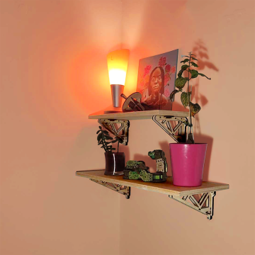 FL Steampunk Brackets: Strength and Style NKD Puzzle - 2