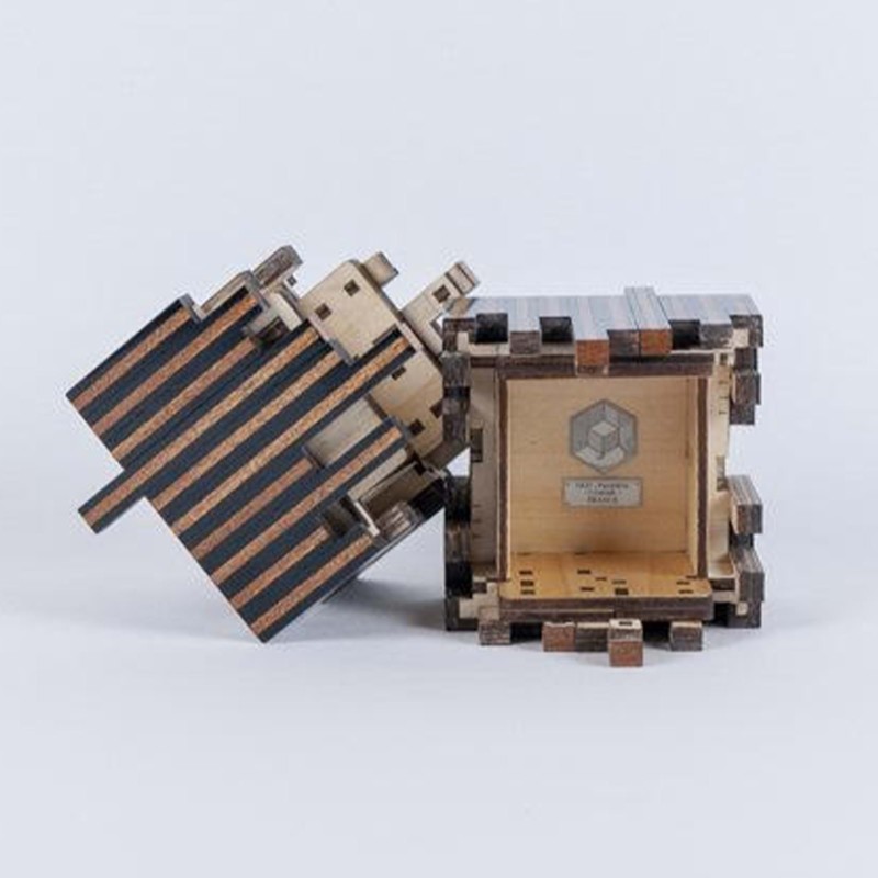 Kit Puzzle box Silver City Luxe NKD Puzzle - 7