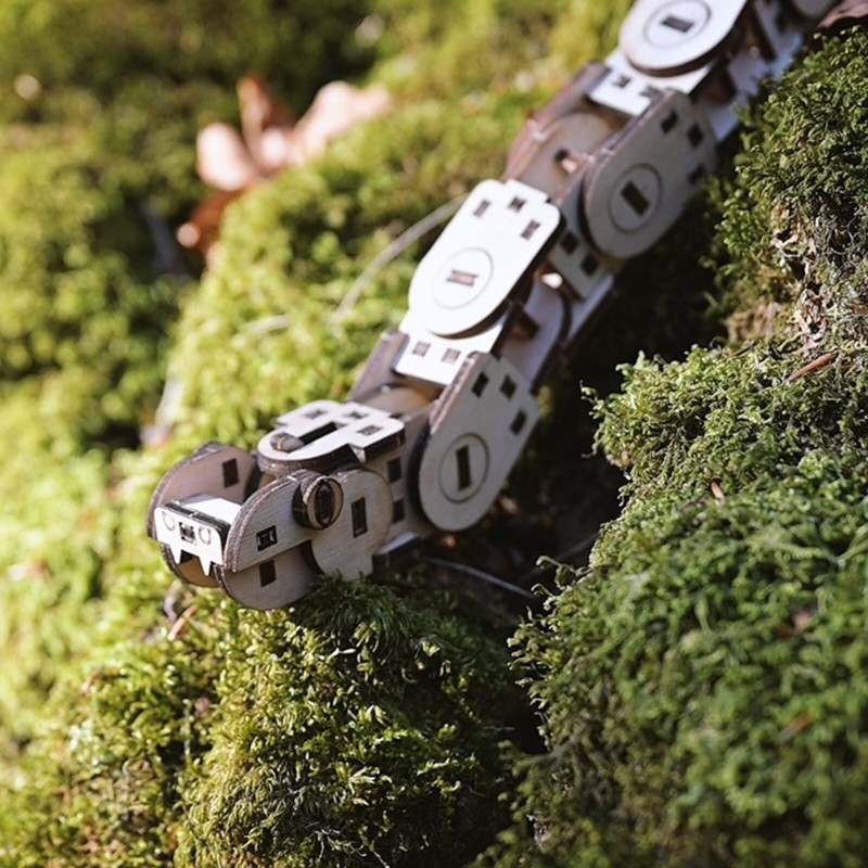 Kit Wooden game Serpento NKD Puzzle - 7